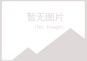 鹤岗兴山山柏咨询有限公司